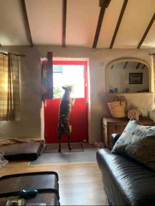 Stone Wall Cottage Castlewellan Luaran gambar