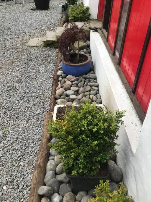 Stone Wall Cottage Castlewellan Luaran gambar