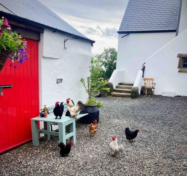 Stone Wall Cottage Castlewellan Luaran gambar