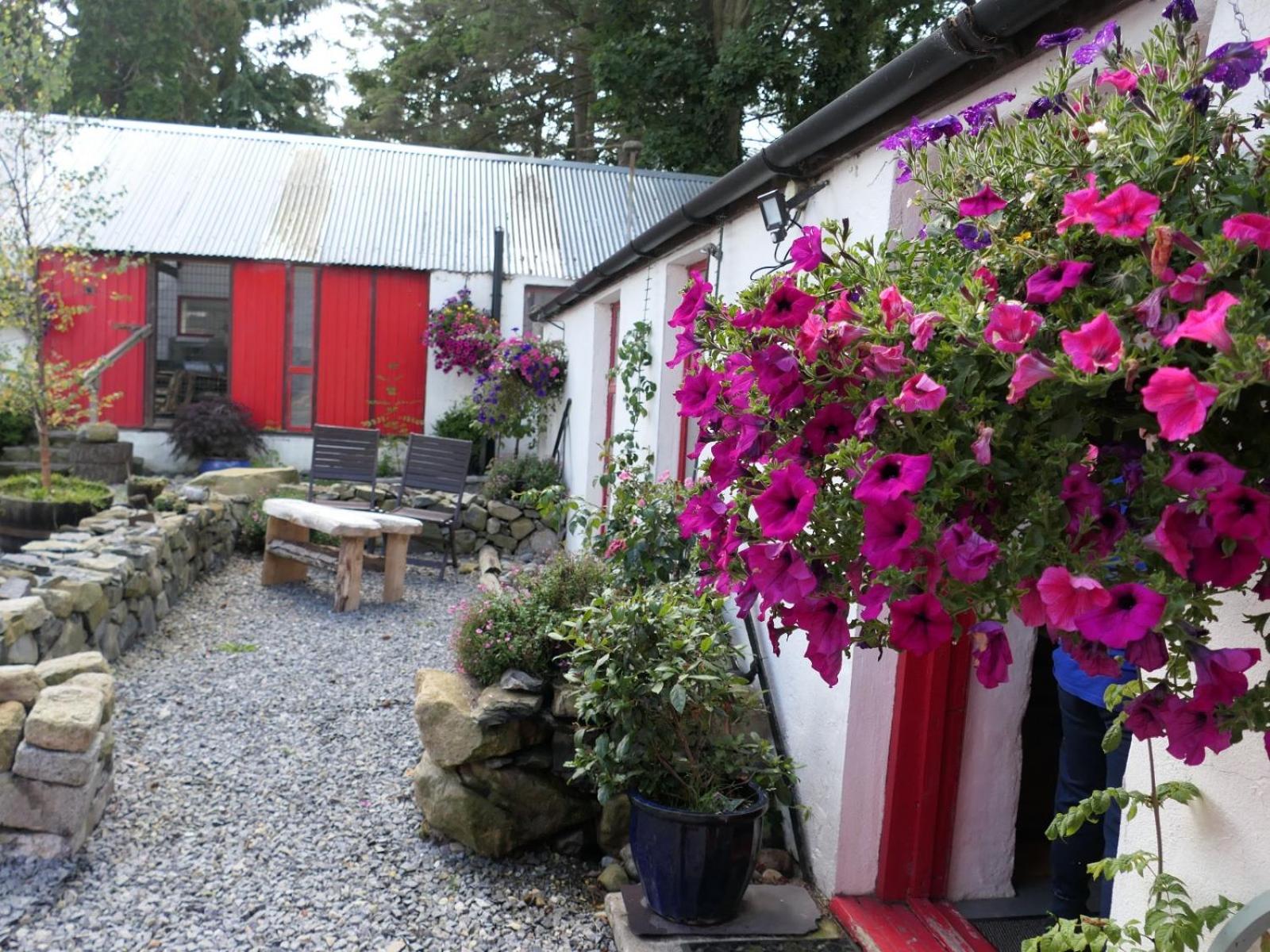Stone Wall Cottage Castlewellan Luaran gambar